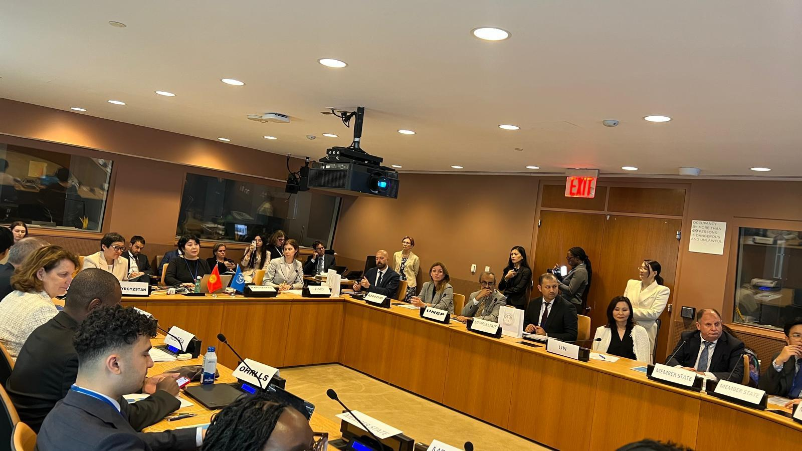 17 июля 2025 года в штаб квартире ООН организован сайд-ивент в рамках реализации Пятилетия действий по развитию горных регионов